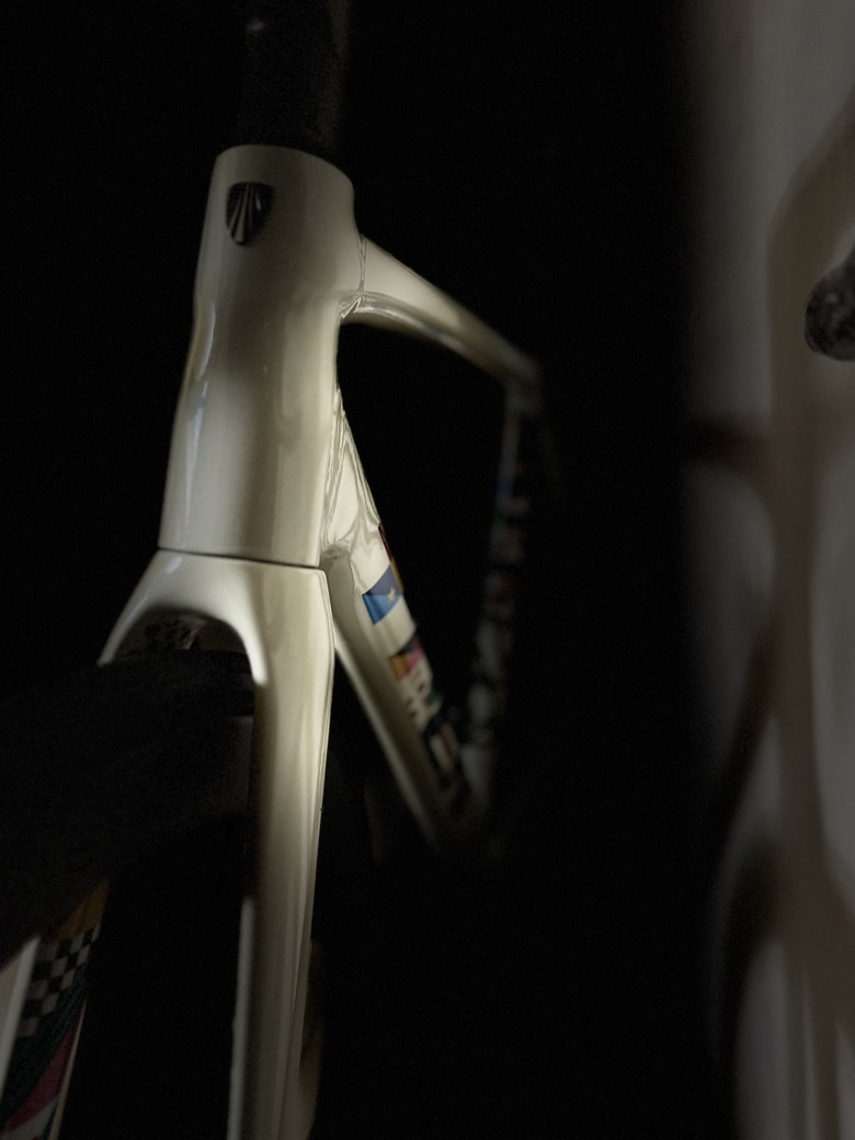 Trek Edmonds ALR5 開箱