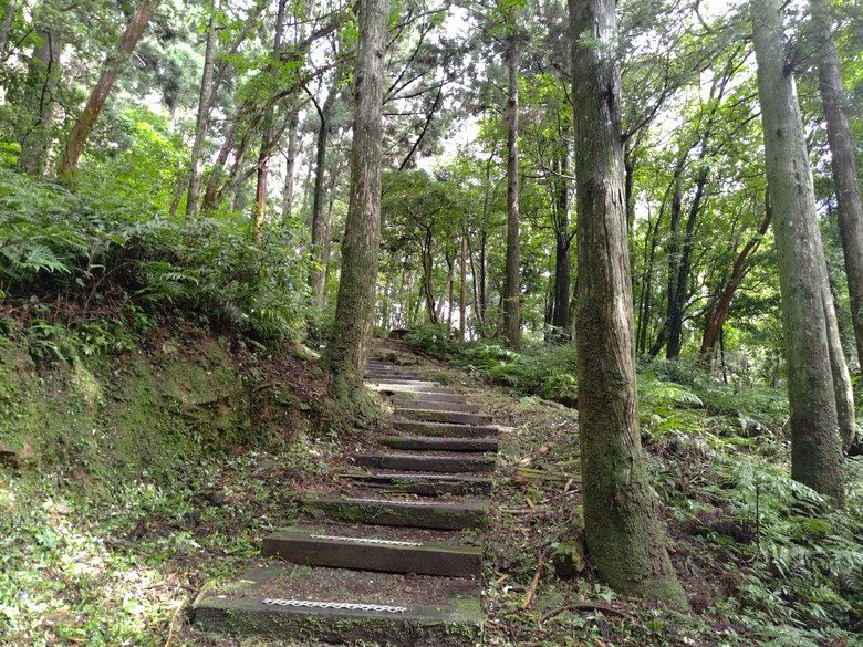 【遊記】回到「大漠國渡」的「起點」，續寫「森林之旅」，東眼山國家森林遊樂區 - 大漠國渡