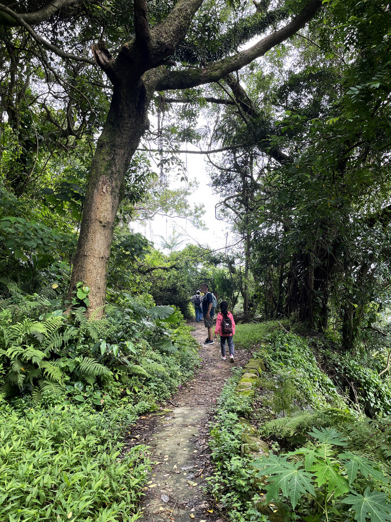 劍潭山親山步道 | 隱身在喧鬧繁華之中的一抹幽靜