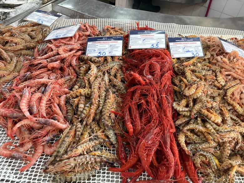 南葡阿爾加維遊記最終回 - Ria Formosa 美麗瀉湖國家公園