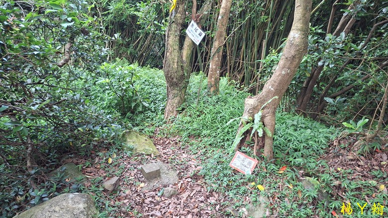 【郊山走走】草山觀瀑吊橋觀瀑、猴崁水圳古道消暑、頂湖山登山健行