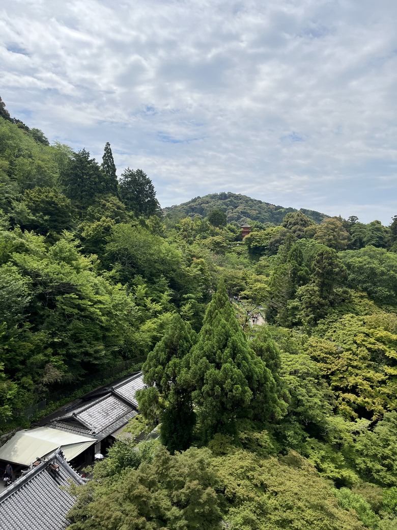 【關西5日自駕遊】之【下集】京都篇，定番景點/美食 +【後記】三菱DELICA D:5 租車花費及車訊分享