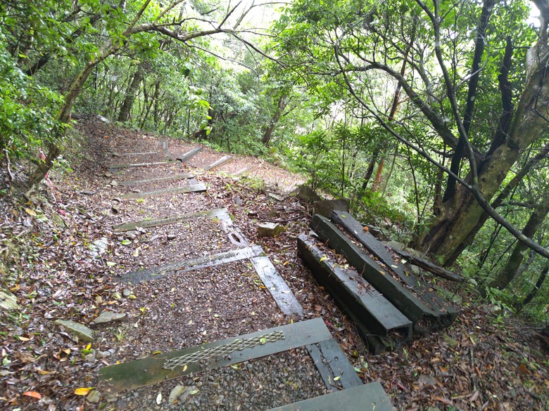 【遊記】回到「大漠國渡」的「起點」，續寫「森林之旅」，東眼山國家森林遊樂區 - 大漠國渡