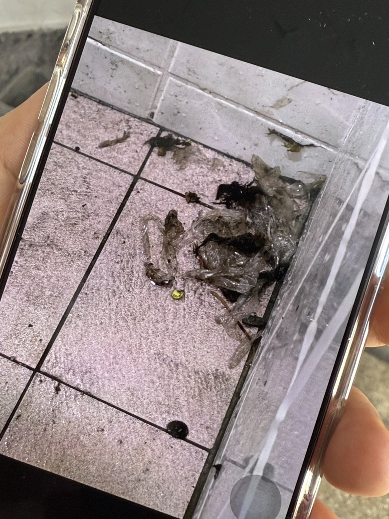 二樓鄰居抱怨裝潢導致糞管阻塞反流