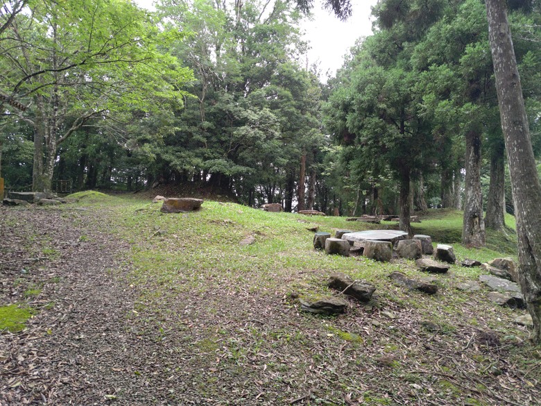 【遊記】回到「大漠國渡」的「起點」，續寫「森林之旅」，東眼山國家森林遊樂區 - 大漠國渡