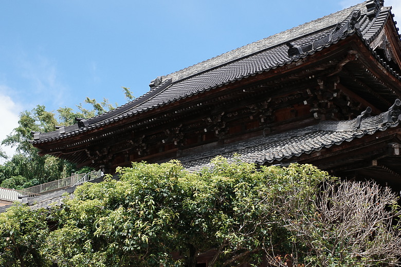 RICOH GR IV 初步體驗｜七年等待、街拍神器再進化！