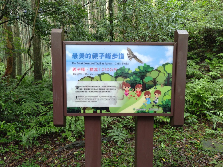 【遊記】回到「大漠國渡」的「起點」，續寫「森林之旅」，東眼山國家森林遊樂區 - 大漠國渡