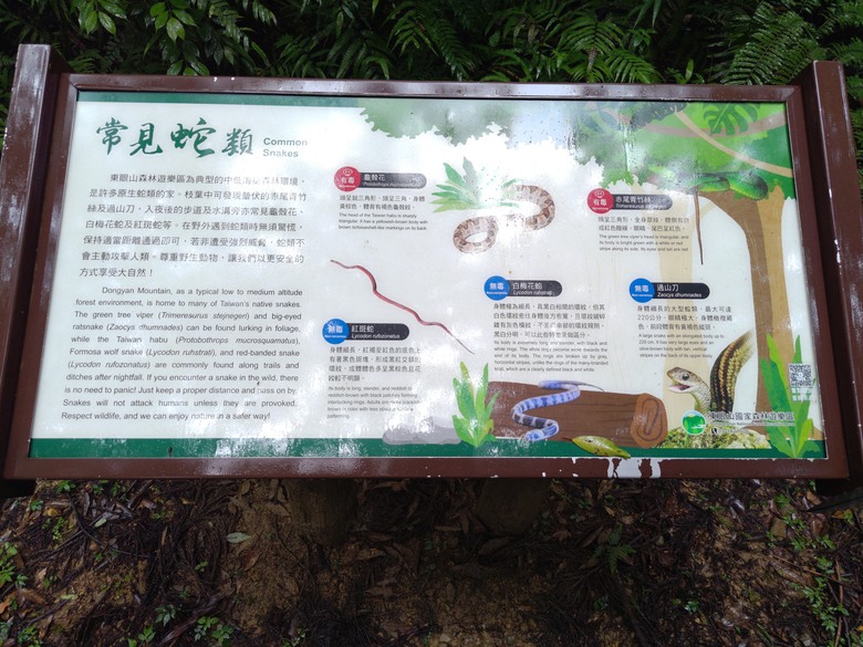 【遊記】回到「大漠國渡」的「起點」，續寫「森林之旅」，東眼山國家森林遊樂區 - 大漠國渡
