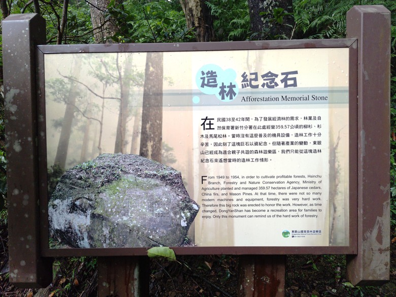 【遊記】回到「大漠國渡」的「起點」，續寫「森林之旅」，東眼山國家森林遊樂區 - 大漠國渡