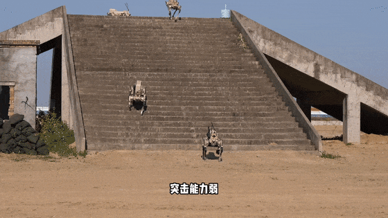 未来战士,机器狼群