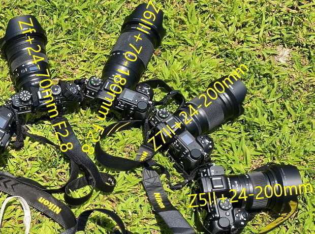 10台Nikon 無反單眼圍一圈，圈圈樂，並記錄佳聯石材八里奢石博物館。