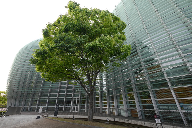 2019的東京自助行,有點年代了但是應該還有些參考價值吧?