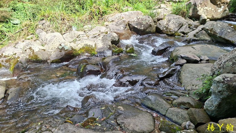 【郊山走走】草山觀瀑吊橋觀瀑、猴崁水圳古道消暑、頂湖山登山健行
