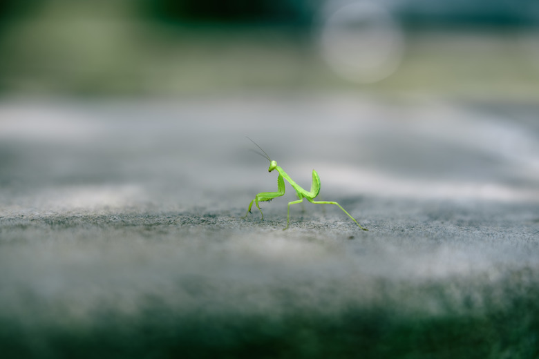 NikonZ8+FE50-150GM實拍及小心得