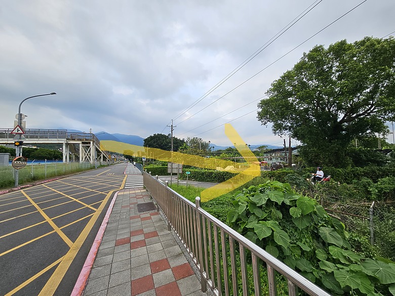 點我看大圖 探索北投忠義小徑鏡賞鳥之旅