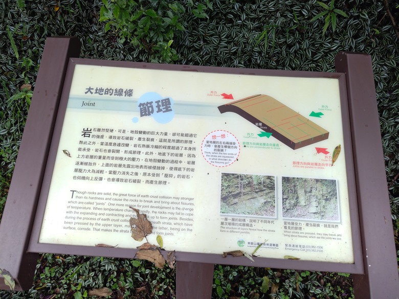 【遊記】回到「大漠國渡」的「起點」，續寫「森林之旅」，東眼山國家森林遊樂區 - 大漠國渡