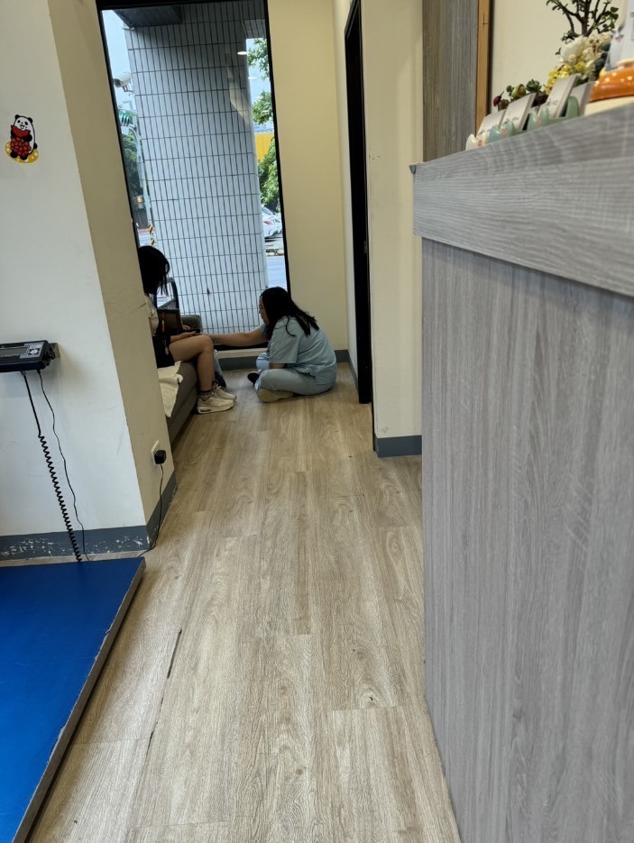 上弦動物醫院 貓咪看診心得