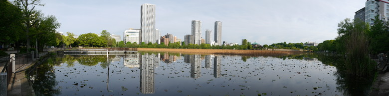 2019的東京自助行,有點年代了但是應該還有些參考價值吧?