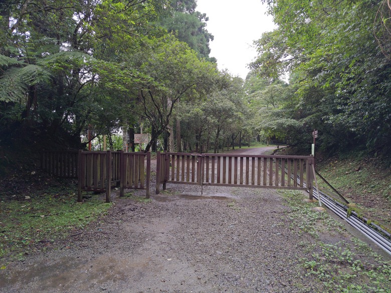【遊記】回到「大漠國渡」的「起點」，續寫「森林之旅」，東眼山國家森林遊樂區 - 大漠國渡