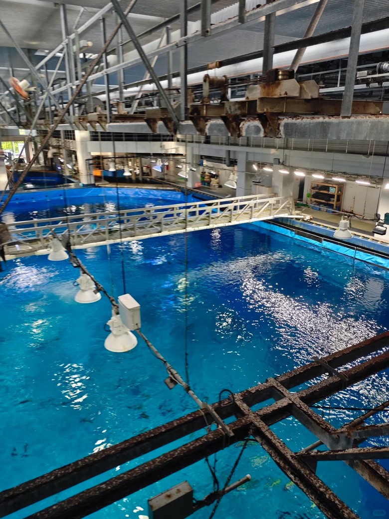 🐠 這裡真的不是普通的水族館!