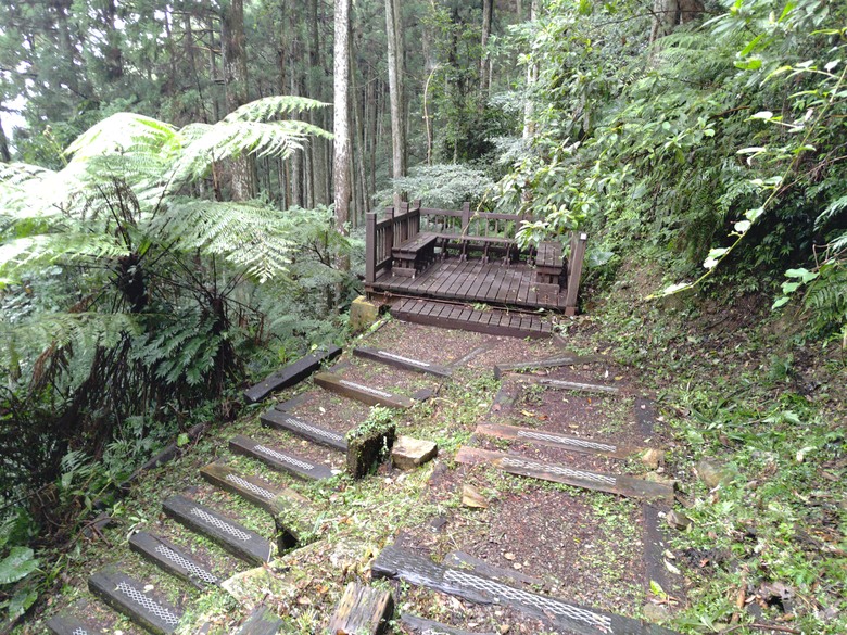 【遊記】回到「大漠國渡」的「起點」，續寫「森林之旅」，東眼山國家森林遊樂區 - 大漠國渡
