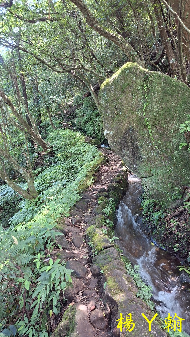 【郊山走走】草山觀瀑吊橋觀瀑、猴崁水圳古道消暑、頂湖山登山健行
