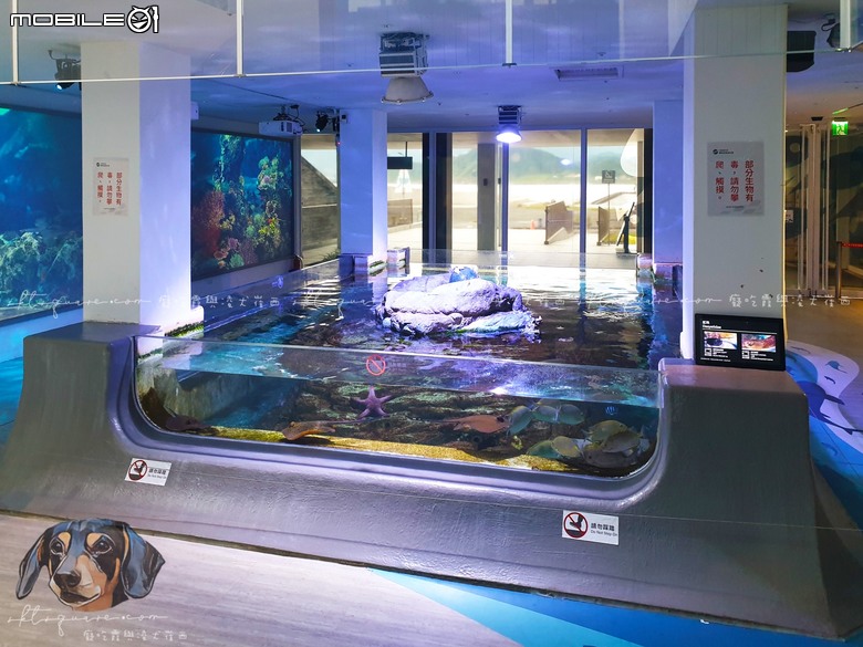 基隆潮境智能海洋館：不只是水族館，是讓你秒變海洋探險家的未來樂園｜癡吃霞與凌犬崔西