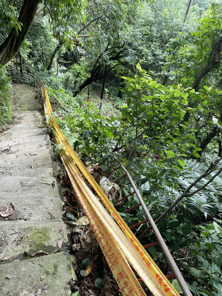 劍潭山親山步道 | 隱身在喧鬧繁華之中的一抹幽靜