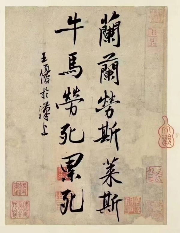 每日一圖 -- 大陸網民針對楊蘭蘭事件創作的對聯✍️