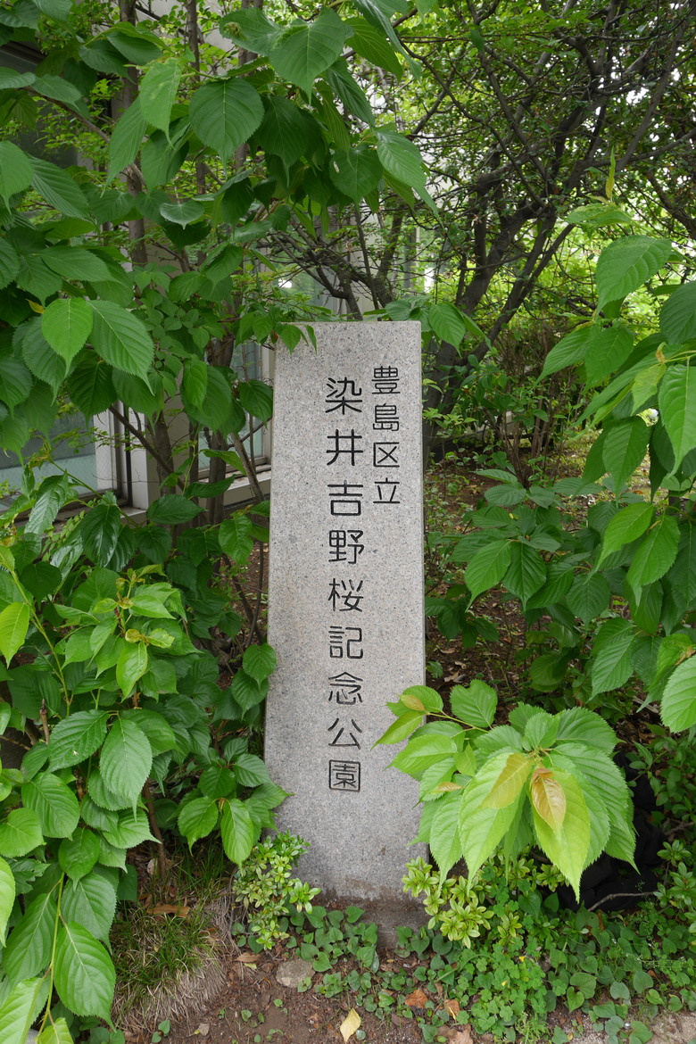 2019的東京自助行,有點年代了但是應該還有些參考價值吧?
