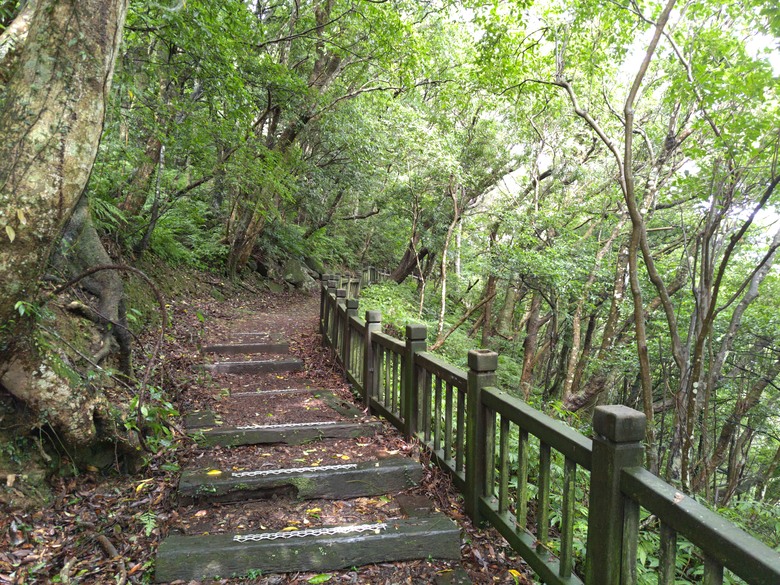 【遊記】回到「大漠國渡」的「起點」，續寫「森林之旅」，東眼山國家森林遊樂區 - 大漠國渡