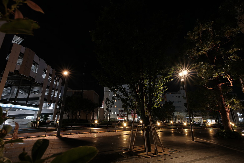 Sigma 12mm f/1.4 DC Contemporary 評測報告｜制霸 APS-C 無反、最廣的 f/1.4 定焦鏡！