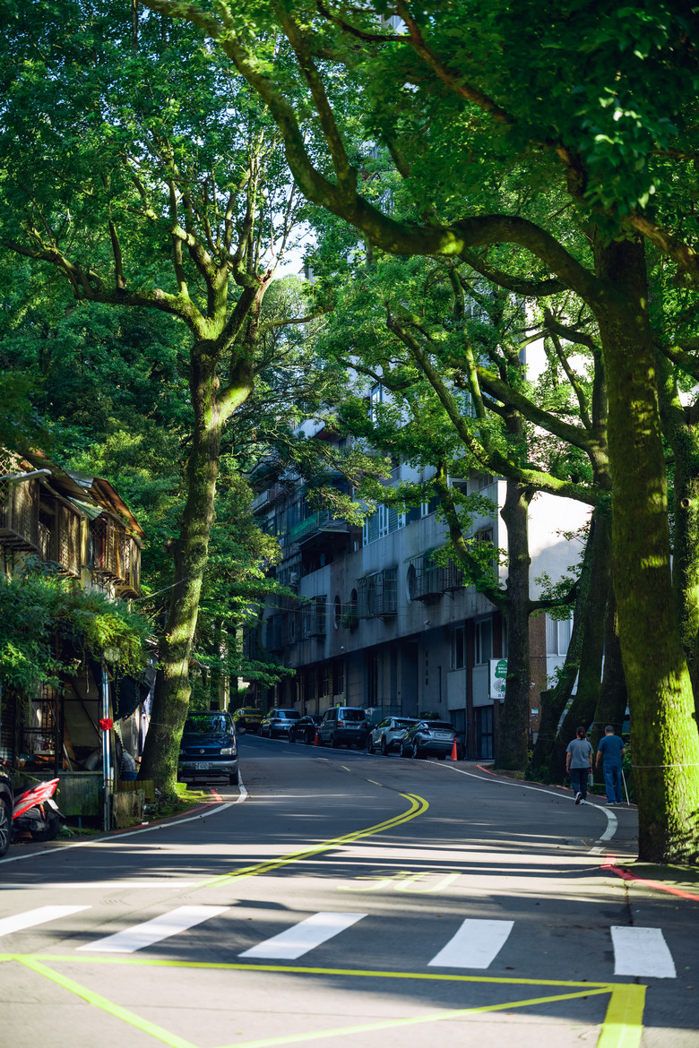 NikonZ8+FE50-150GM實拍及小心得