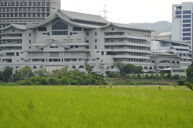 點我看大圖 探索北投忠義小徑鏡賞鳥之旅