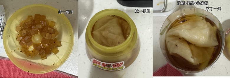 DIY蚤蠅誘捕液(米酒篇)