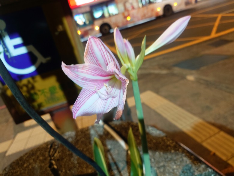 詐騙集團無處不在