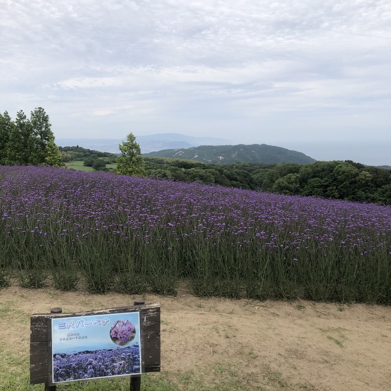 【關西5日自駕遊】之【中集】神戶淡路篇,集結美食/溫泉/美景之旅遊分享。