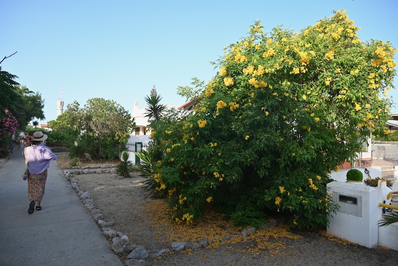 南葡阿爾加維遊記最終回 - Ria Formosa 美麗瀉湖國家公園