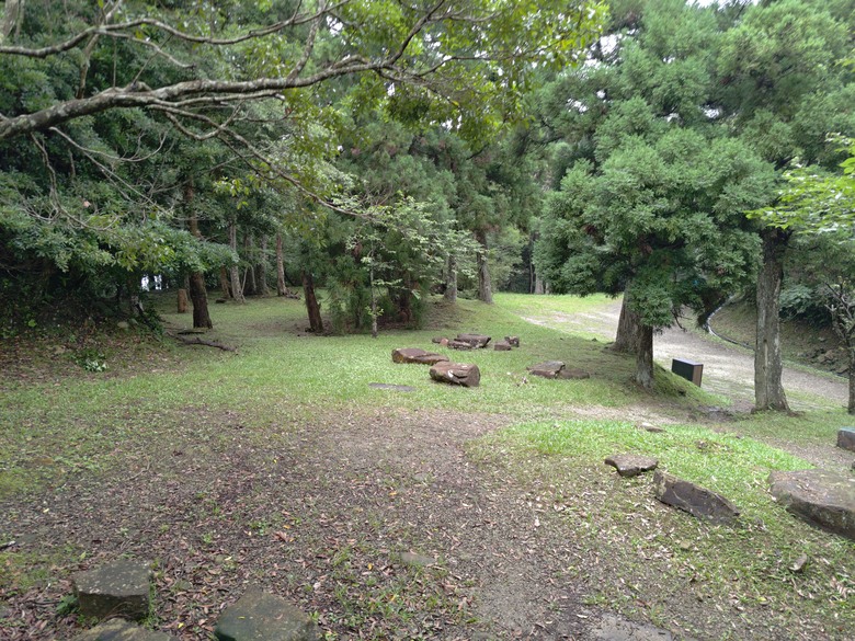 【遊記】回到「大漠國渡」的「起點」，續寫「森林之旅」，東眼山國家森林遊樂區 - 大漠國渡