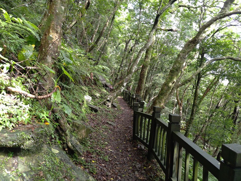 【遊記】回到「大漠國渡」的「起點」，續寫「森林之旅」，東眼山國家森林遊樂區 - 大漠國渡