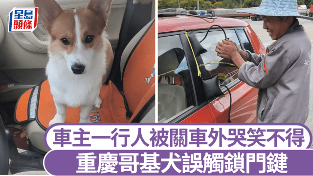 頑皮哥基犬鎖車門車主進不了,與開鎖師傅大鬥法