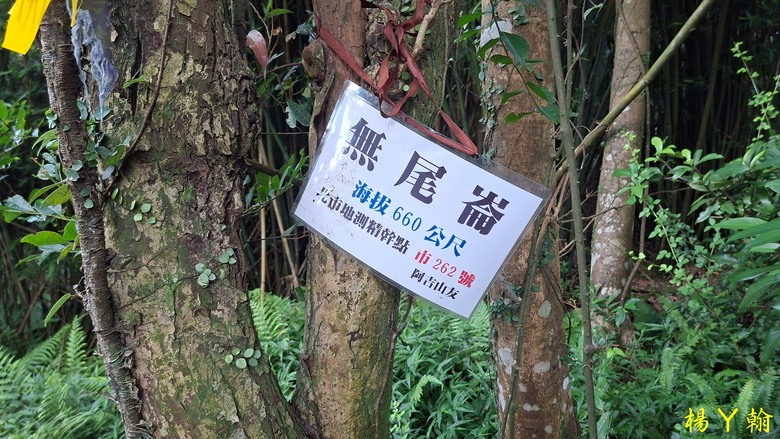 【郊山走走】草山觀瀑吊橋觀瀑、猴崁水圳古道消暑、頂湖山登山健行