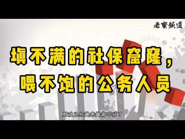 中国填不满的社保窟窿，喂不饱的公务人员
