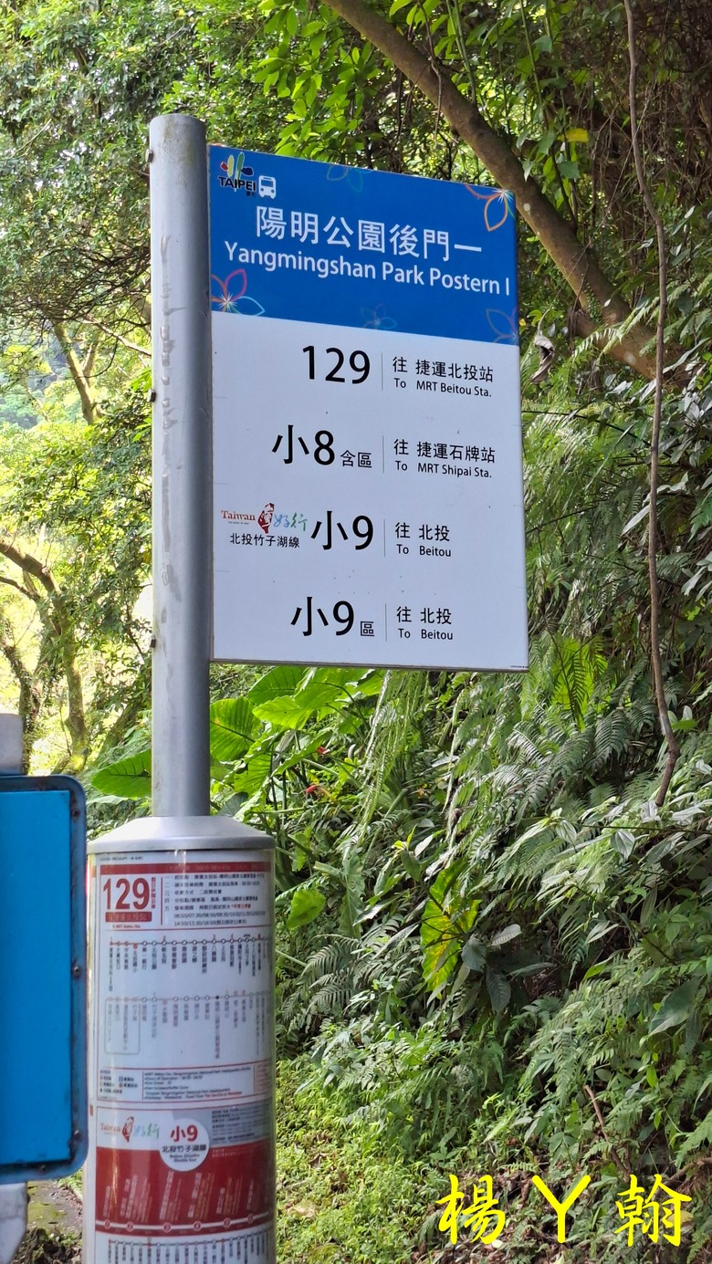 【郊山走走】草山觀瀑吊橋觀瀑、猴崁水圳古道消暑、頂湖山登山健行