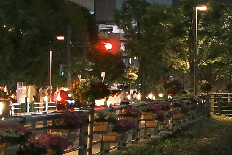 Sigma 12mm f/1.4 DC Contemporary 評測報告｜制霸 APS-C 無反、最廣的 f/1.4 定焦鏡！