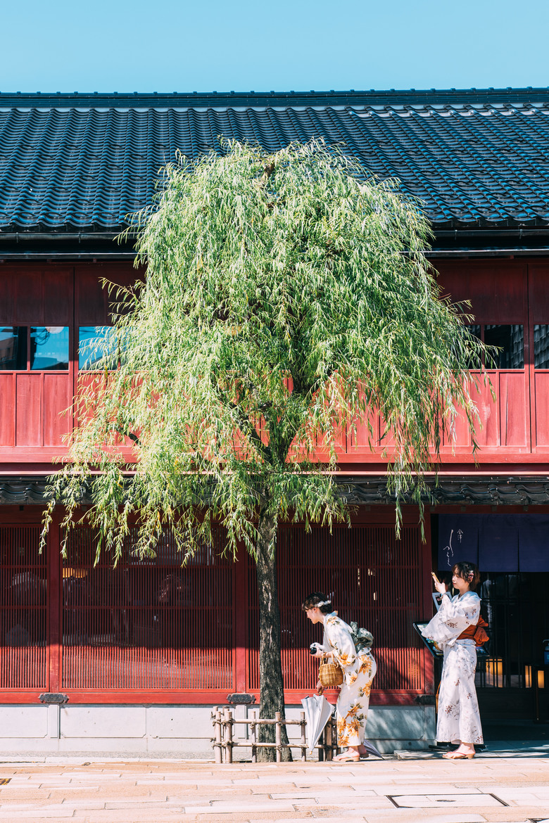 [ NIKON ZF ] 想來個安靜的旅程 - 日本北陸