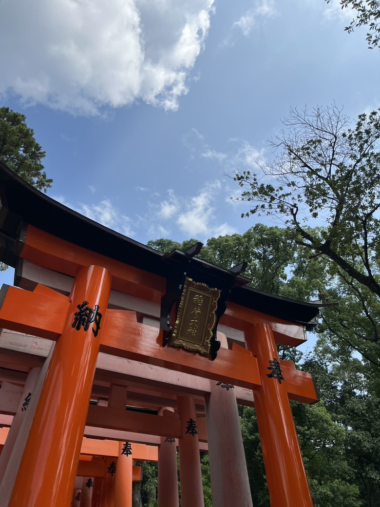 久違的帶爸媽去出國放風