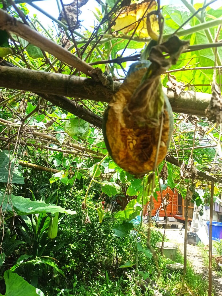 松鼠! 看起來可愛,對嗎?
