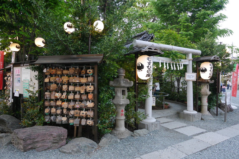 2019的東京自助行,有點年代了但是應該還有些參考價值吧?