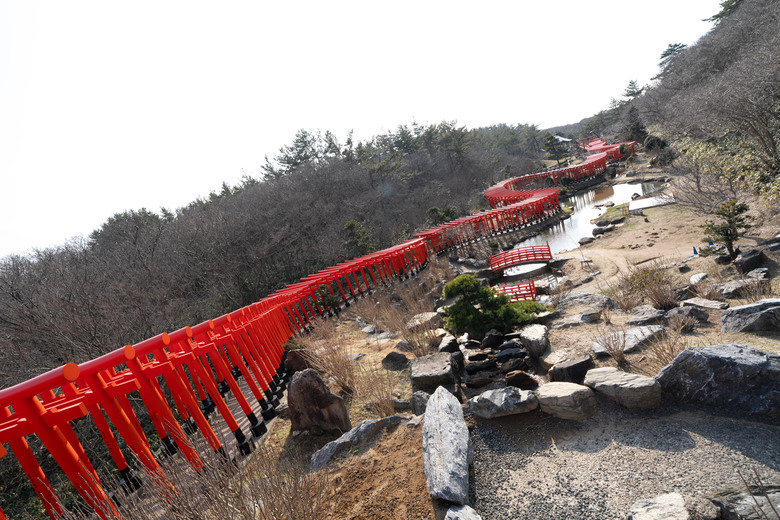 【遊記】2025三週日本遊:北海道|東北|東京 - 中篇
